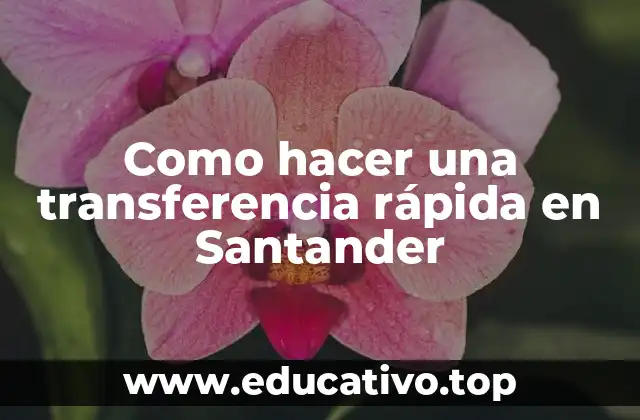 Como hacer una transferencia rápida en Santander