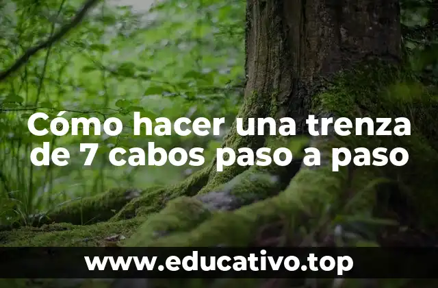 Cómo hacer una trenza de 7 cabos paso a paso