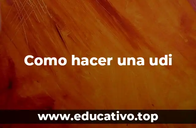 Como hacer una udi