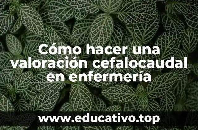 Cómo hacer una valoración cefalocaudal en enfermería