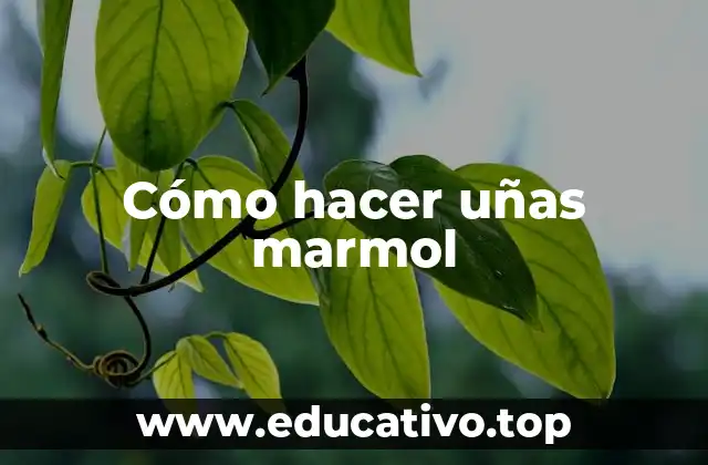 Cómo hacer uñas marmol