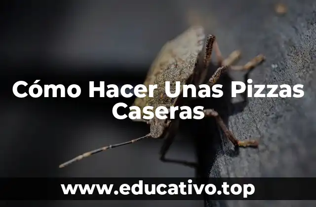 Cómo Hacer Unas Pizzas Caseras