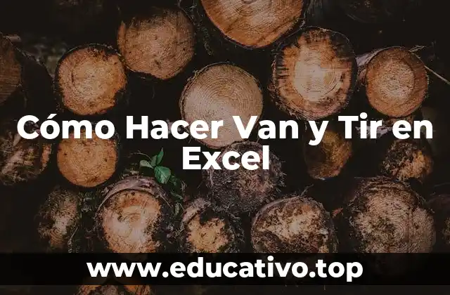 Cómo Hacer Van y Tir en Excel