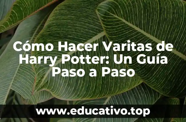 Cómo Hacer Varitas de Harry Potter: Un Guía Paso a Paso