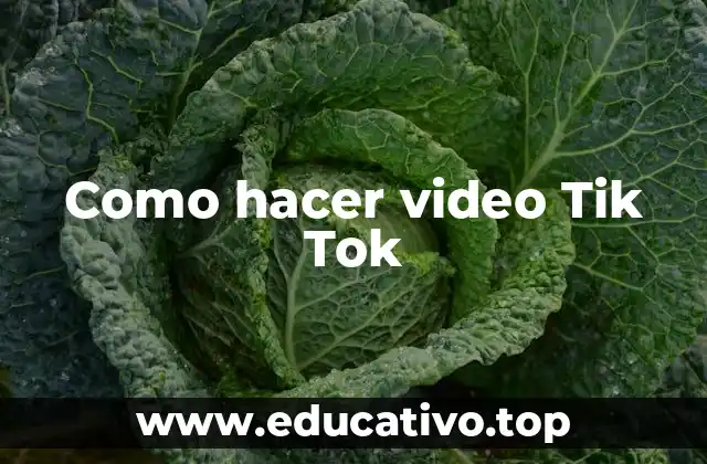 Como hacer video Tik Tok
