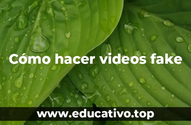 Cómo hacer videos fake