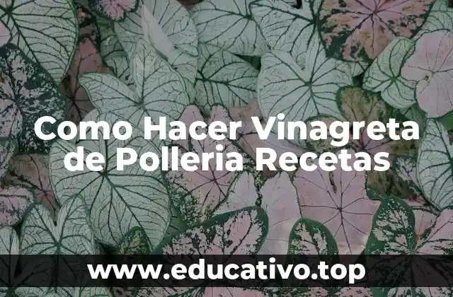 Como Hacer Vinagreta de Polleria Recetas