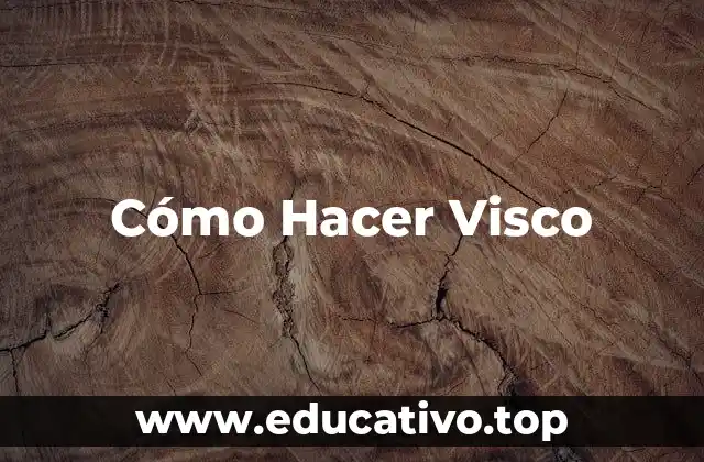 Cómo Hacer Visco