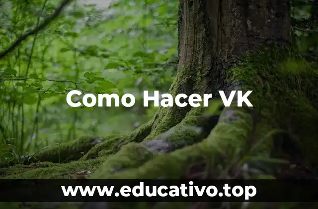 Como Hacer VK
