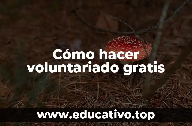 Cómo hacer voluntariado gratis