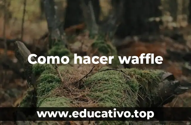 Como hacer waffle