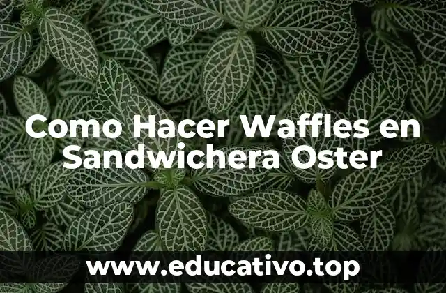 Como Hacer Waffles en Sandwichera Oster