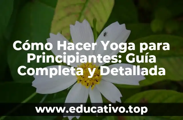 Cómo Hacer Yoga para Principiantes: Guía Completa y Detallada