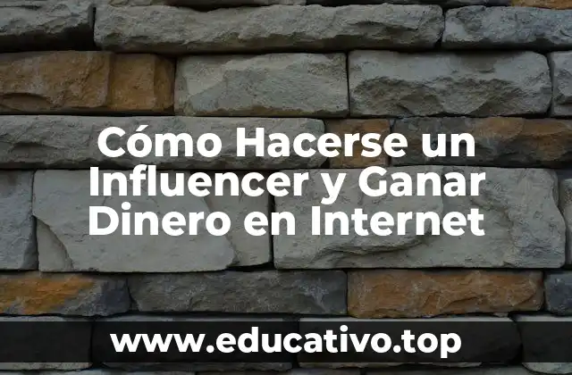 Cómo Hacerse un Influencer y Ganar Dinero en Internet