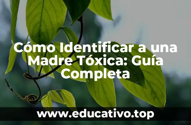 Cómo Identificar a una Madre Tóxica: Guía Completa