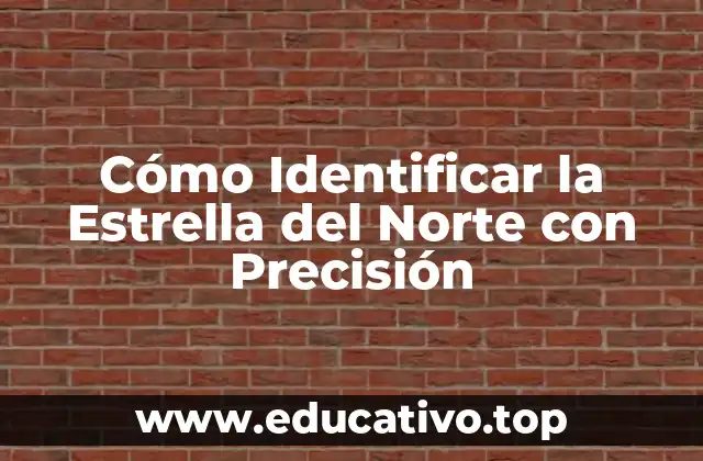 Cómo Identificar la Estrella del Norte con Precisión