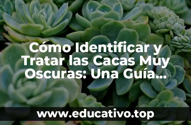 Cómo Identificar y Tratar las Cacas Muy Oscuras: Una Guía Completa