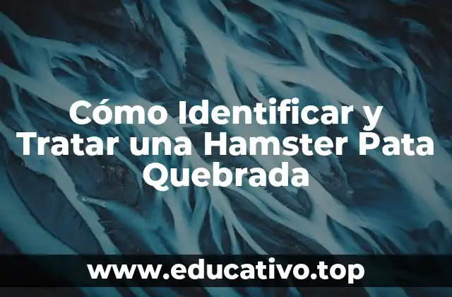 Cómo Identificar y Tratar una Hamster Pata Quebrada