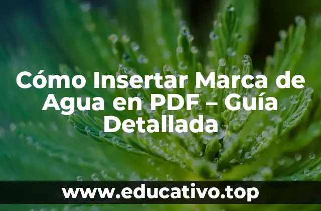 Cómo Insertar Marca de Agua en PDF – Guía Detallada