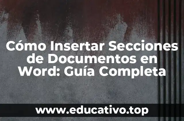 Cómo Insertar Secciones de Documentos en Word: Guía Completa