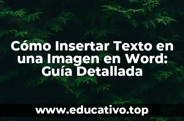 Cómo Insertar Texto en una Imagen en Word: Guía Detallada