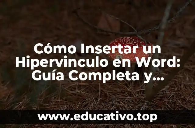 Cómo Insertar un Hipervinculo en Word: Guía Completa y Actualizada