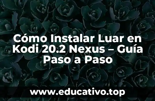 Cómo Instalar Luar en Kodi 20.2 Nexus – Guía Paso a Paso