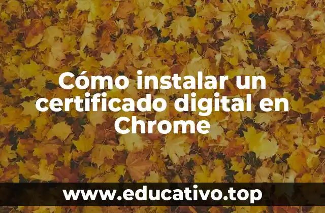 Cómo instalar un certificado digital en Chrome