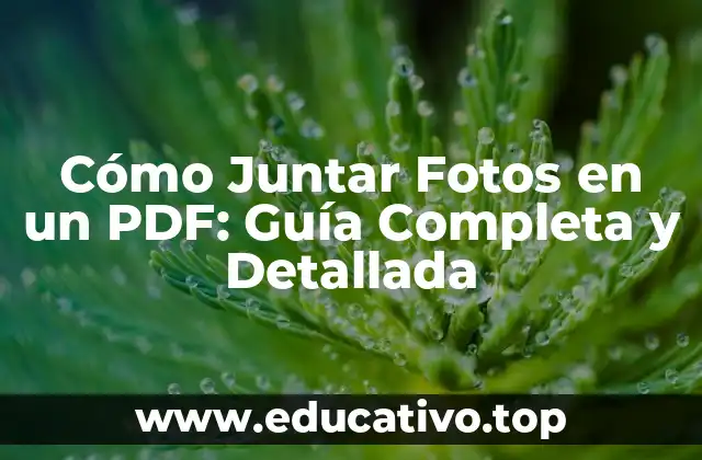 Cómo Juntar Fotos en un PDF: Guía Completa y Detallada