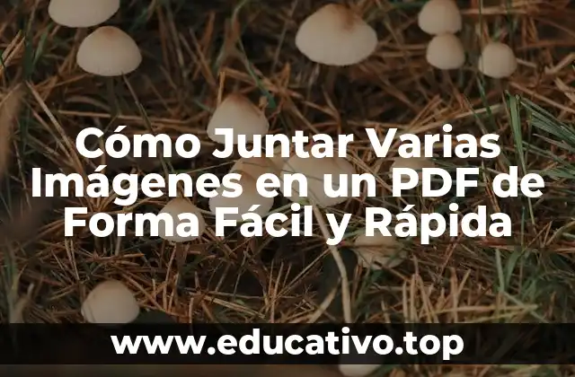 Cómo Juntar Varias Imágenes en un PDF de Forma Fácil y Rápida