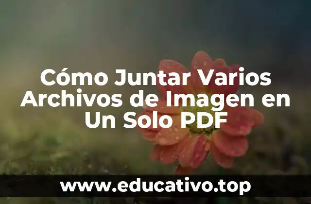 Cómo Juntar Varios Archivos de Imagen en Un Solo PDF