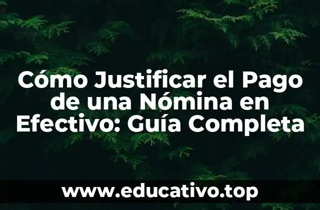 Cómo Justificar el Pago de una Nómina en Efectivo: Guía Completa