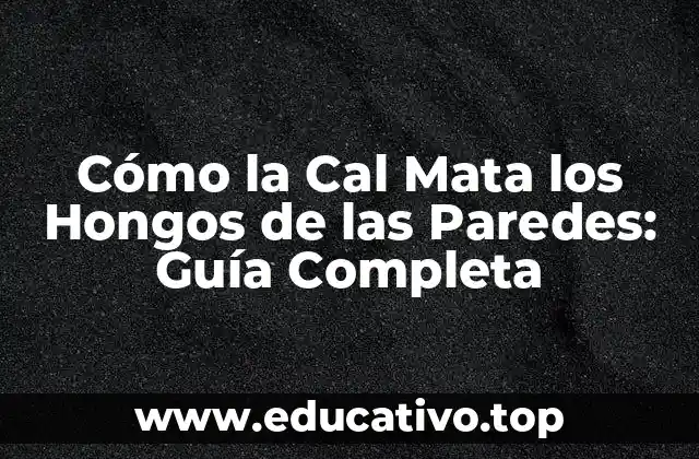 Cómo la Cal Mata los Hongos de las Paredes: Guía Completa