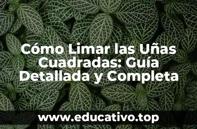 Cómo Limar las Uñas Cuadradas: Guía Detallada y Completa