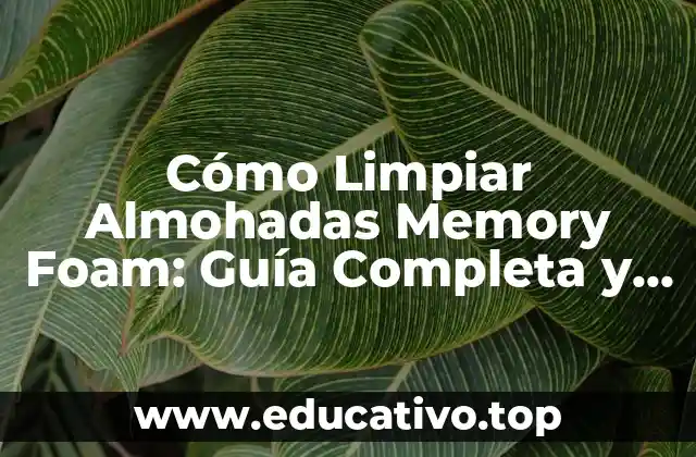 Cómo Limpiar Almohadas Memory Foam: Guía Completa y Efectiva