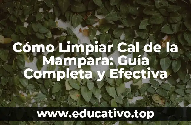 Cómo Limpiar Cal de la Mampara: Guía Completa y Efectiva