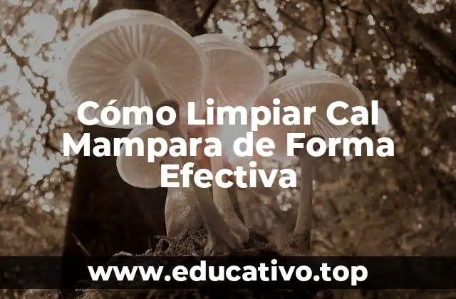 Cómo Limpiar Cal Mampara de Forma Efectiva