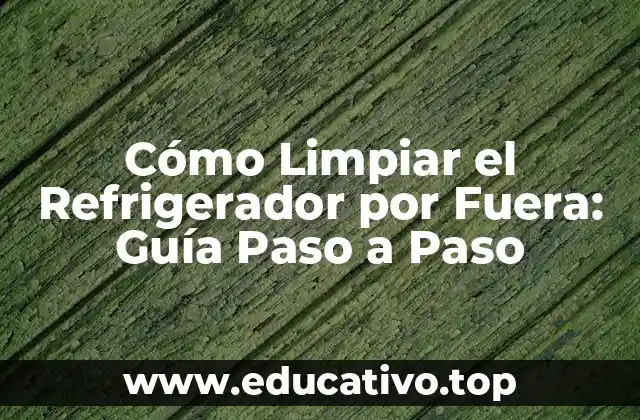 Cómo Limpiar el Refrigerador por Fuera: Guía Paso a Paso