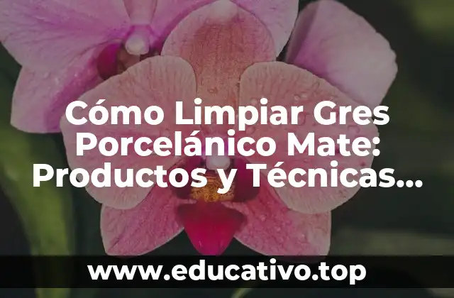 Cómo Limpiar Gres Porcelánico Mate: Productos y Técnicas Efectivas