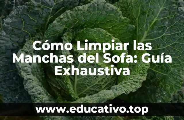 Cómo Limpiar las Manchas del Sofa: Guía Exhaustiva