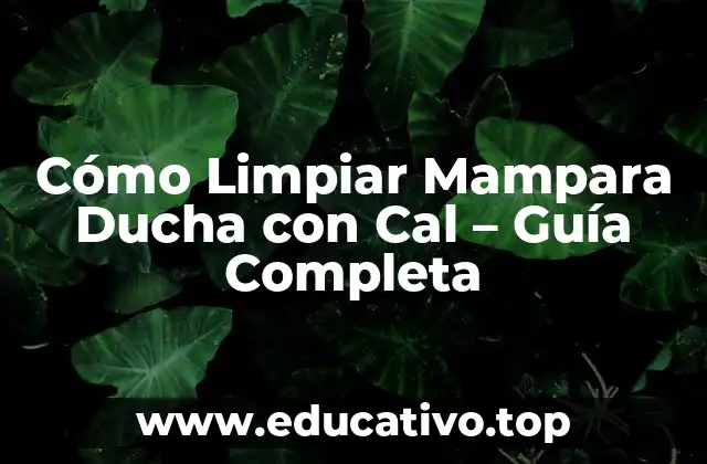 Cómo Limpiar Mampara Ducha con Cal – Guía Completa