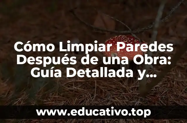 Cómo Limpiar Paredes Después de una Obra: Guía Detallada y Práctica