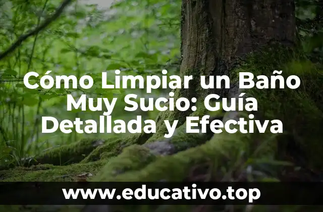 Cómo Limpiar un Baño Muy Sucio: Guía Detallada y Efectiva