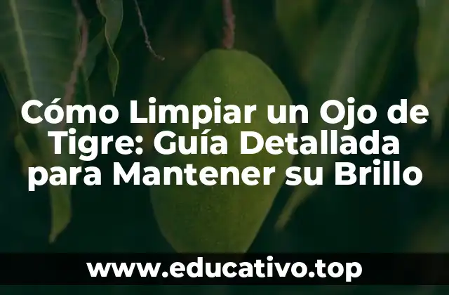 Cómo Limpiar un Ojo de Tigre: Guía Detallada para Mantener su Brillo