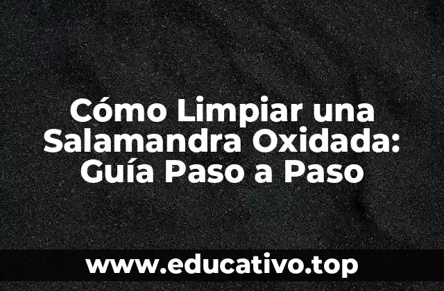 Cómo Limpiar una Salamandra Oxidada: Guía Paso a Paso