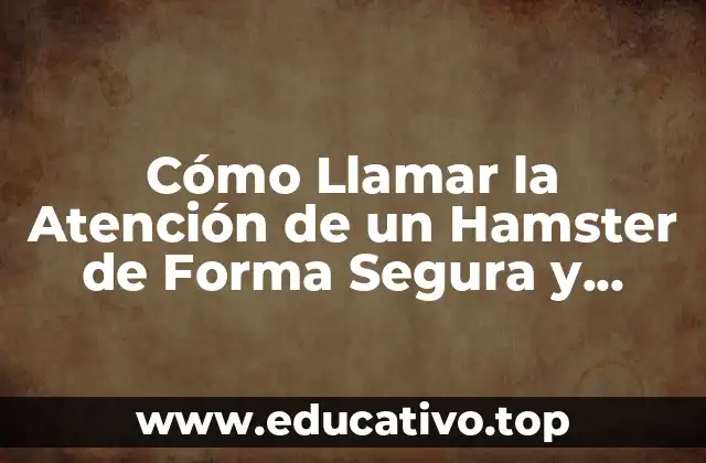 Cómo Llamar la Atención de un Hamster de Forma Segura y Divertida