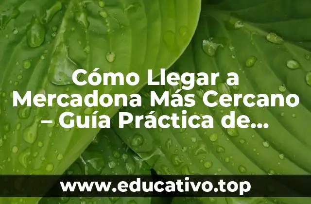 Cómo Llegar a Mercadona Más Cercano – Guía Práctica de Direcciones y Rutas