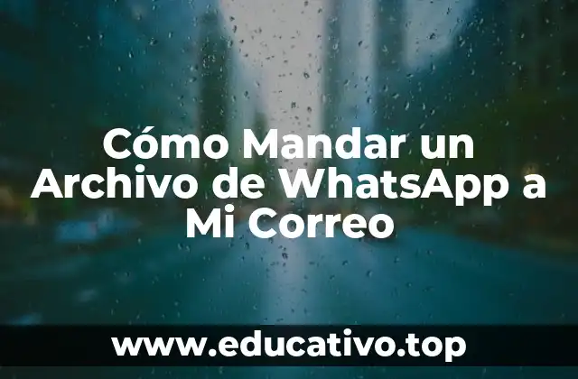 Cómo Mandar un Archivo de WhatsApp a Mi Correo