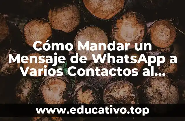 Cómo Mandar un Mensaje de WhatsApp a Varios Contactos al Mismo Tiempo