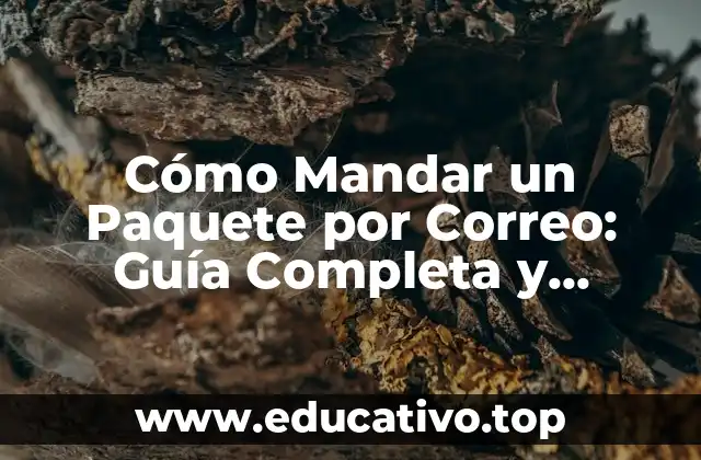 Cómo Mandar un Paquete por Correo: Guía Completa y Detallada